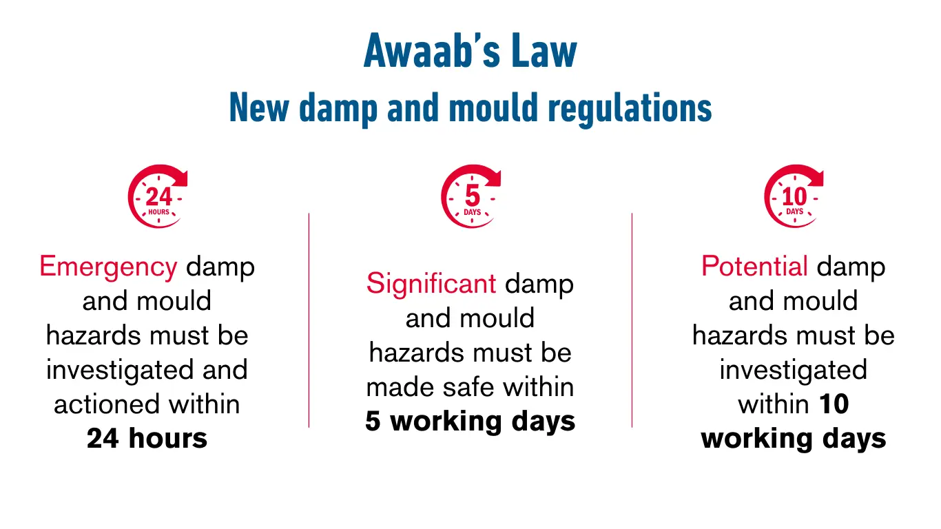 Awaabs Law Infographic