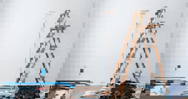 Ladder On Left Pexels Blue Bird